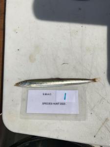 WhatsApp-Image-2024-02-01-at-06.59.52 1105b597