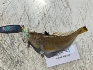 WhatsApp-Image-2024-02-01-at-06.59.52 c062e0fe