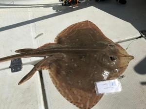 WhatsApp-Image-2024-02-01-at-06.59.53 2779ad84