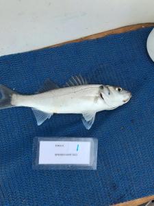 WhatsApp-Image-2024-02-01-at-07.01.05 1e040966