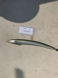 WhatsApp-Image-2024-02-01-at-07.01.05 5c48b531