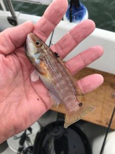 WhatsApp-Image-2024-02-01-at-07.01.06 6da81a03