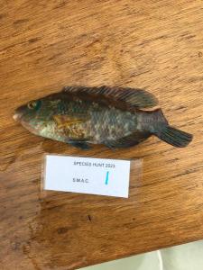 WhatsApp-Image-2024-02-01-at-07.01.07 922d1ed5