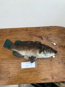 WhatsApp-Image-2024-02-01-at-07.01.08 02c3b528