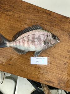 WhatsApp-Image-2024-02-01-at-07.01.08 810f7b8f