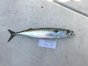 WhatsApp-Image-2024-02-01-at-07.01.09 469a68a7