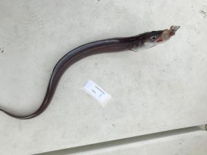 WhatsApp-Image-2024-02-01-at-07.01.09 c11e4706