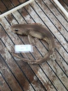 WhatsApp-Image-2024-02-01-at-07.01.11 46a95183