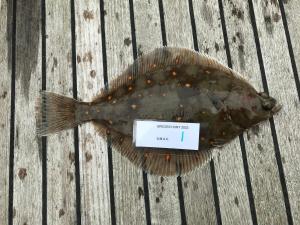 WhatsApp-Image-2024-02-01-at-07.01.11 720891d3