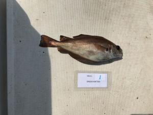 WhatsApp-Image-2024-02-01-at-07.02.20 7dbb5ddc