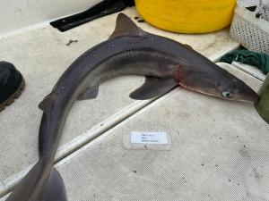 WhatsApp-Image-2024-02-01-at-07.15.33 d757571c