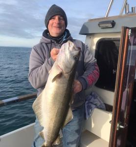 cTim-Andrews-Pollack