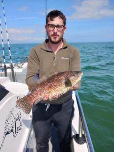 cd40a622-9b4e-4b66-a439-264e8d73f459