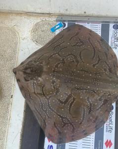 ec146ab5-27c6-4723-b5fa-fd1e9755bc29 (1)